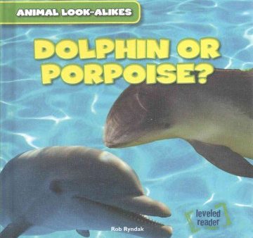 Dolphin or Porpoise? For Sale