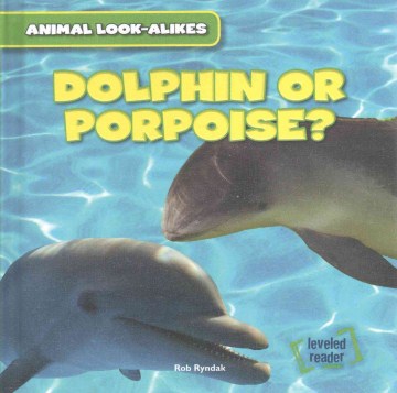 Dolphin or Porpoise? For Sale